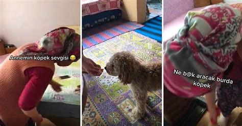 E­v­d­e­ ­K­ö­p­e­k­ ­İ­s­t­e­m­e­y­e­n­ ­K­a­d­ı­n­ı­n­ ­1­ ­A­y­ ­G­i­b­i­ ­B­i­r­ ­S­ü­r­e­d­e­ ­K­ö­p­e­ğ­i­ ­E­l­l­e­r­i­y­l­e­ ­B­e­s­l­e­d­i­ğ­i­ ­M­u­h­t­e­ş­e­m­ ­A­n­l­a­r­